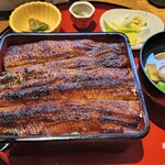 炭焼 うな富士 - 