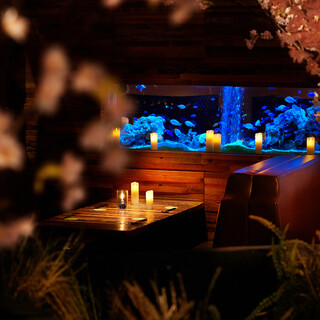 アクアリウムダイニング 新宿ライム_2