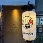 三茶 ユキツバキ - 