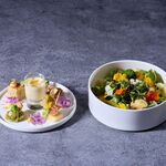 MAISON 8 garden - 