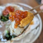 kaisembisutoroandobiagadenuohiro Honatsugi Ten - 