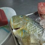 美海 - 沖縄の三大高級魚 マクブと赤マチ