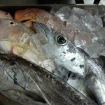 美海 - 沖縄県産新鮮鮮魚‼