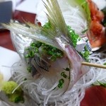 磯料理 一吉 - 鯵