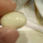 ドトールコーヒーショップ - 