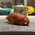 龍月  SUSHI - 料理写真: