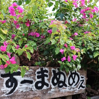 すーまぬめぇ_1