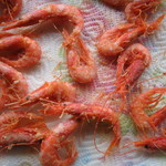 Trattoria La Fenicia - 港で買った海老のフリット