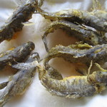 Trattoria La Fenicia - 同じくハゼの一種のフリット