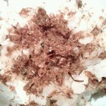 たき下 - そぼろご飯