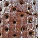 Bäckerei Franz Brandl Filiale Landstraße - 硬派極みなし