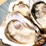 かきのおきて - 料理写真: