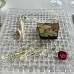 ツキ シュール ラメール - 