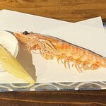 マジュン・リッカ - 