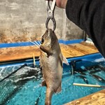 釣船茶屋ざうお - 