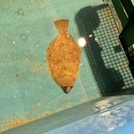釣船茶屋ざうお - 
