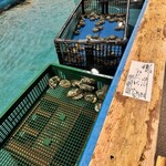 釣船茶屋ざうお - 