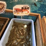 ざうお - 