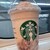 スターバックス・コーヒー - ドリンク写真: