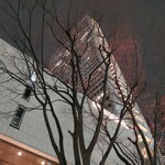 スカイラウンジ オーロラ - 京王プラザホテル