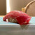 恵比寿 鮨 はつめ - 料理写真:
