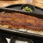 鰻魚四代目菊川 Midland Square 名古屋本店 - 