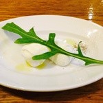 SALVATORE CUOMO & BAR 覚王山 - モッツァレラチーズ