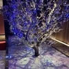 全席個室 ウメ子の家 - 