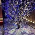 全席個室 ウメ子の家 - 