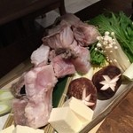 博多磯ぎよし - 主役のアラ（クエ）登場