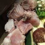 博多磯ぎよし - 主役のアラ（クエ）登場