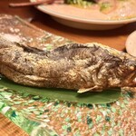 三茶 ユキツバキ - 