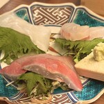 三茶 ユキツバキ - 