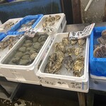 森田水産 - 
