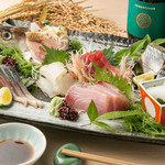 Assortment of the day's recommended fresh fish "selection five kinds assortment"