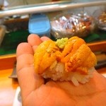 寿司栄 - 【握り】赤雲丹＆白雲丹