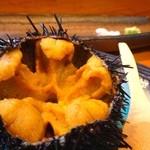 寿司栄 - 産卵期に入ってしまうためこれがラスト
      