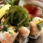 Sea grape and shrimp spring rolls