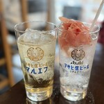 居酒屋燃えた うらめし屋 - ふつうのハイボール480円　ガリチュー480円