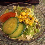 ビストロ サザンウインド - サラダも共通です。