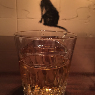 バー クワトロガット_0