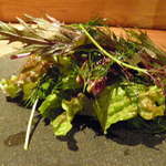 アカ - 鯖のサラダ仕立て
