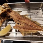 ジャンボ釣船 つり吉 - 