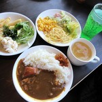 ステーキハンバーグ＆サラダバー　けん - カレー、サラダ等(2015/01/25撮影)