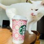 スターバックスコーヒー - 