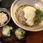 栄茶屋 - 自然薯蕎麦の大盛り＋麦飯小+薬味ダブル