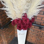 特選近江牛レストラン ティファニー - 