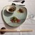 Teppanyaki×Wine あかくろ - 料理写真: