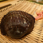 Tsukijisushikoujin - 赤貝の貝殻