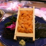 ひょうたん寿司 - うに一枚